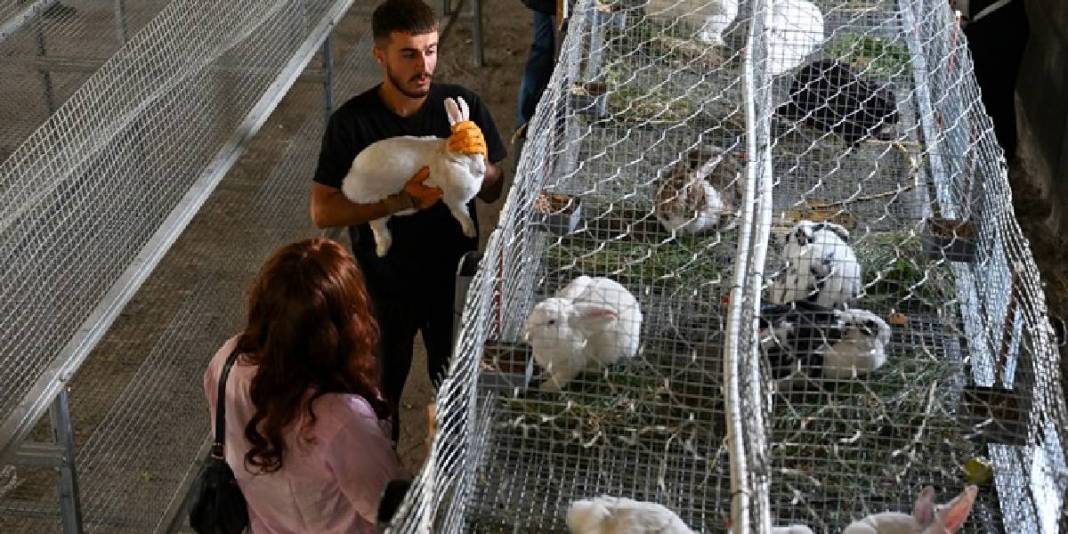 İnternette gördü, kendi çiftliğini kurdu! 6 ayda sayıları 500’e çıktı: Hedefi yurt dışına açılmak 1